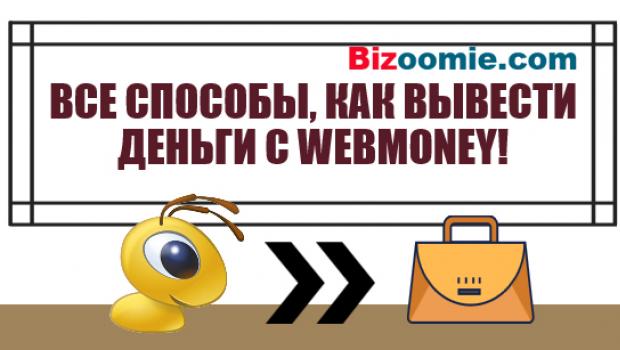 Hur man tar ut pengar från WebMoney - 7 möjliga alternativ: omedelbara eller lönsamma metoder att välja mellan!